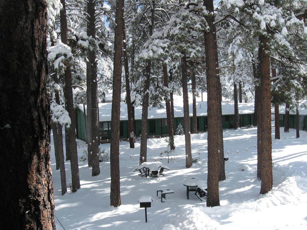 Timberlodge Inn Pinetop-Lakeside Room photo